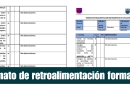 Formato de retroalimentación formativa