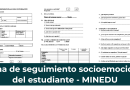 Ficha de seguimiento socioemocional del estudiante – MINEDU