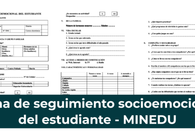Ficha de seguimiento socioemocional del estudiante – MINEDU