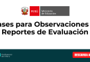 Frases para Observaciones en Reportes de Evaluación