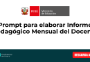 Prompt para elaborar Informe Pedagógico Mensual del Docente