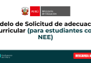 Modelo de Solicitud de adecuación curricular (para estudiantes con NEE)