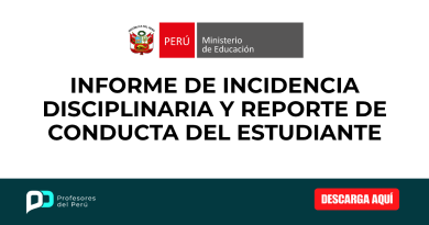 INFORME DE INCIDENCIA DISCIPLINARIA Y REPORTE DE CONDUCTA DEL ESTUDIANTE