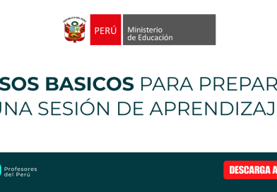 Pasos básicos para preparar una buena sesión de aprendizaje