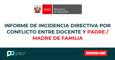 Informe de Incidencia Directiva por Conflicto entre Docente y Padre/Madre de Familia