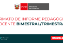 Formato De Informe Pedagógico Docente Bimestral/trimestral