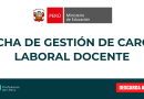 FICHA DE GESTIÓN DE CARGA LABORAL DOCENTE