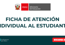 Ficha de Atención Individual al Estudiante