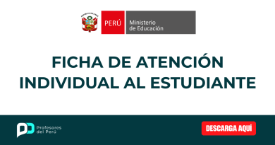 Ficha de Atención Individual al Estudiante