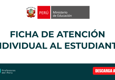 Ficha de Atención Individual al Estudiante