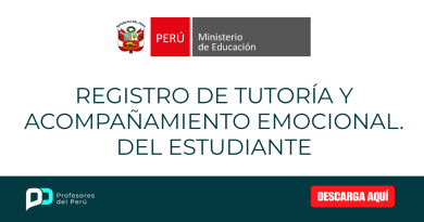 Registro de tutoría y acompañamiento emocional. del estudiante
