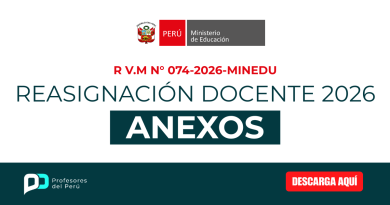 Anexo de Reasignación Docente 2026 – R V.M N° 074-2026-MINEDU