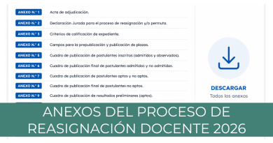 Anexos del Proceso de Reasignación Docente 2026