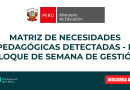 Matriz de Necesidades Pedagógicas Detectadas – II Bloque de semana de gestión