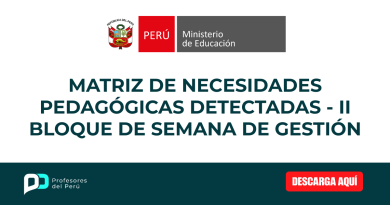 Matriz de Necesidades Pedagógicas Detectadas – II Bloque de semana de gestión