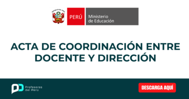 ACTA DE COORDINACIÓN ENTRE DOCENTE Y DIRECCIÓN