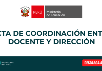 ACTA DE COORDINACIÓN ENTRE DOCENTE Y DIRECCIÓN