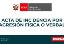 ACTA DE INCIDENCIA POR AGRESIÓN FÍSICA O VERBAL
