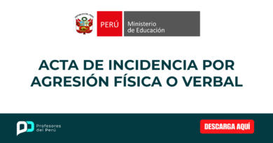 ACTA DE INCIDENCIA POR AGRESIÓN FÍSICA O VERBAL
