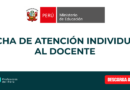 FICHA DE ATENCIÓN INDIVIDUAL AL DOCENTE