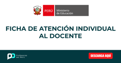 FICHA DE ATENCIÓN INDIVIDUAL AL DOCENTE