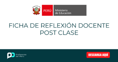 Ficha de Reflexión Docente Post Clase
