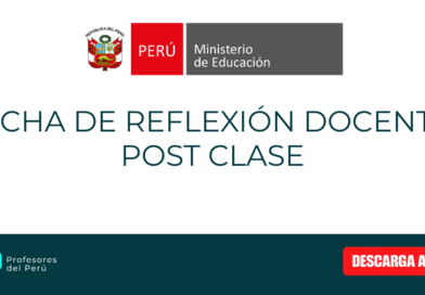 Ficha de Reflexión Docente Post Clase
