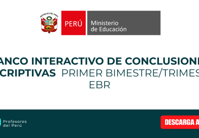 Banco de Conclusiones Descriptivas AD (Destacado) — Primer Bimestre/Trimestre EBR