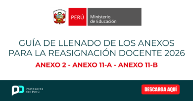 Guía de llenado de los anexos para la reasignación docente 2026