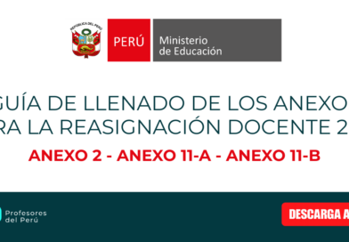 Guía de llenado de los anexos para la reasignación docente 2026