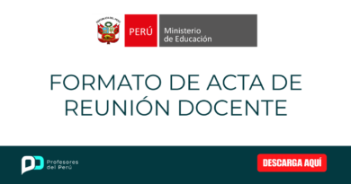 ACTA DE REUNIÓN DOCENTE