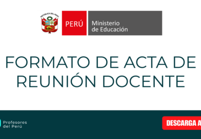 ACTA DE REUNIÓN DOCENTE