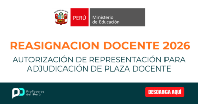 AUTORIZACIÓN DE REPRESENTACIÓN PARA ADJUDICACIÓN DE PLAZA DOCENTE – REASIGNACION DOCENTE 2026