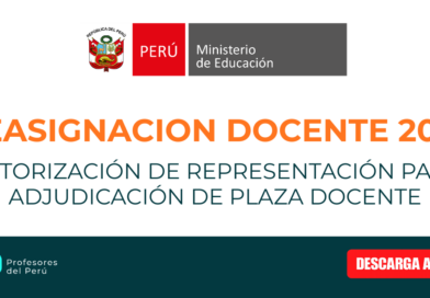 AUTORIZACIÓN DE REPRESENTACIÓN PARA ADJUDICACIÓN DE PLAZA DOCENTE – REASIGNACION DOCENTE 2026
