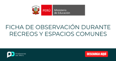 Ficha de observación durante recreos y espacios comunes.