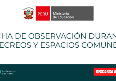Ficha de observación durante recreos y espacios comunes.