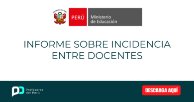 INFORME SOBRE INCIDENCIA ENTRE DOCENTES