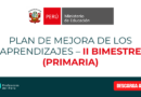 PLAN DE MEJORA DE LOS APRENDIZAJES – II BIMESTRE (PRIMARIA)