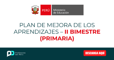 PLAN DE MEJORA DE LOS APRENDIZAJES – II BIMESTRE (PRIMARIA)