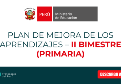 PLAN DE MEJORA DE LOS APRENDIZAJES – II BIMESTRE (PRIMARIA)