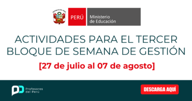 Actividades para el tercer bloque de semana de gestión [27 de julio al 07 de agosto]
