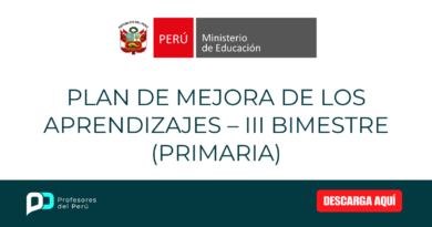 PLAN DE MEJORA DE LOS APRENDIZAJES – III BIMESTRE (PRIMARIA)