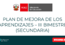 PLAN DE MEJORA DE LOS APRENDIZAJES – III BIMESTRE (SECUNDARIA)
