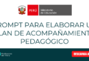 Prompt para elaborar un Plan de Acompañamiento Pedagógico