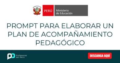 Prompt para elaborar un Plan de Acompañamiento Pedagógico