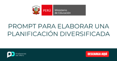 Prompt para elaborar una Planificación Diversificada