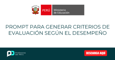 Prompt para generar criterios de evaluación según el desempeño