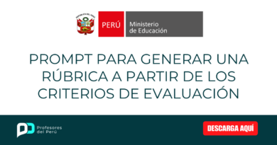 Prompt para generar una rúbrica a partir de los criterios de evaluación
