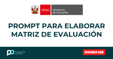 Prompt para elaborar Matriz de evaluación