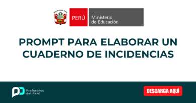Prompt para elaborar un cuaderno de incidencias